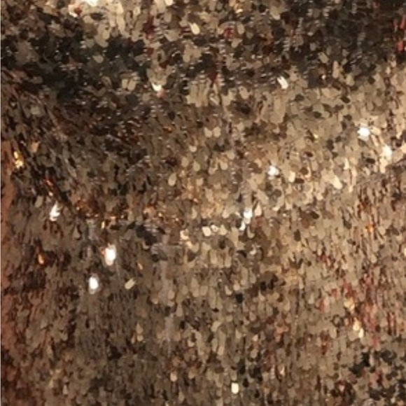 Incredible Rose Gold Sequin Full Length Formal Helsi Dress - Picture 9 of 9